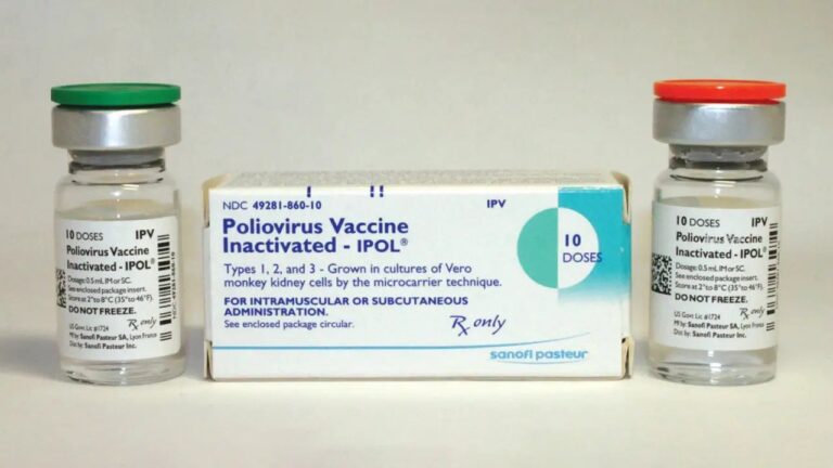 immediate 4v imovax